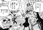 Tsuru Chases Donquixote Pirates