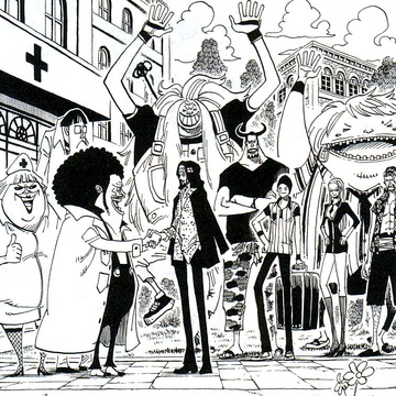 Nezavisimoe Rassledovanie Cp9 One Piece Wiki Fandom