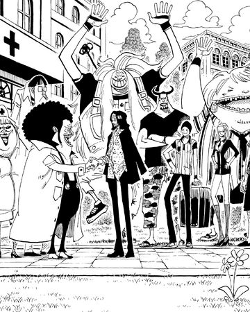 Cp9 S Independent Report One Piece Wiki Fandom