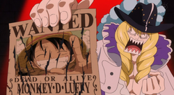 Cavendish Wanted Luffy