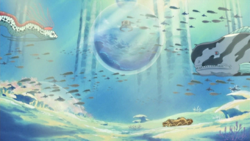 Portal Piece - sola até tritão debaixo d'água, zorão o mais pika