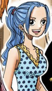Vivi's Second Drum Island Arc Outfit in the Manga