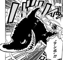 Thunder Shark Tempo.