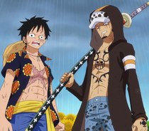 Law y Luffy van a por Doflamingo