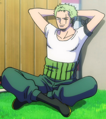 Roronoa Zoro One Piece Encyclopedie Fandom