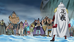 The Whitebeard Commanders and Crocodile battle Akainu.