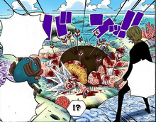 Чоппер и Санджи нашли израненного Хачи.