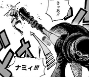 Gunko donne un coup de pied à Nami