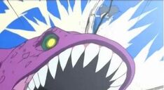 Łopatka a'la épaule shoot