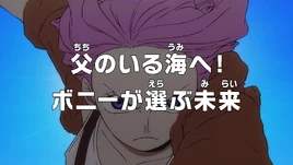 Episodio 1135 | One Piece Wiki | Fandom