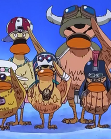 Escuadron De Super Patos One Piece Wiki Fandom