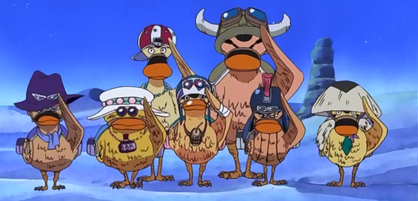 Escuadrón de Super Patos | One Piece Wiki | Fandom