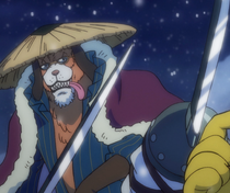 Inuarashi | One Piece Wiki | Fandom