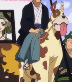 Animal Species Four Emperors Saga One Piece Wiki Fandom