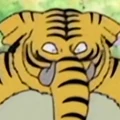Tiger-Elephant portrait