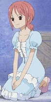 Scarlett One Piece Wiki Fandom