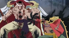 Barbablanca vs. Barbanegra.