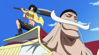 Ace Attempts to Kill Whitebeard