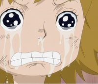 Koala One Piece Wiki Fandom Koala One Piece Wiki Fandom