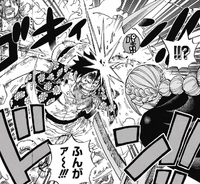 Luffy qui intercepte l'attaque de Rebecca et sauve Viola de la mort