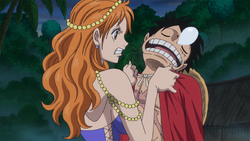 Nami Tries to Wake Luffy Up