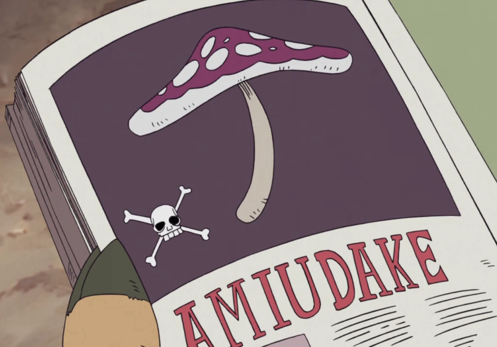 Amiudake One Piece Wiki Fandom