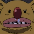 Minokoala Portrait.png