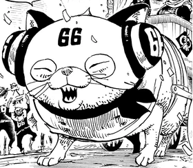 Nyasha | One Piece Encyclopédie | Fandom