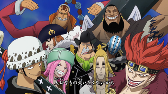 One Day One Piece Encyclopedie Fandom