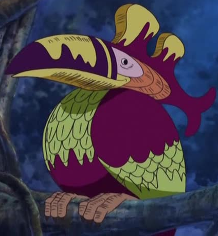 South Bird One Piece Wiki Fandom