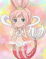 白星 航海王wiki Fandom