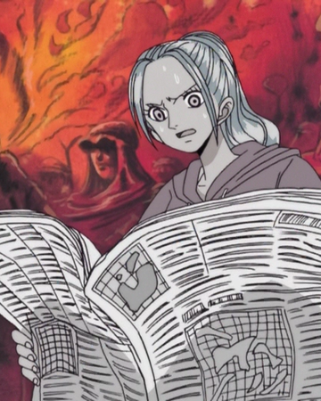 Newspaper One Piece Wiki Fandom