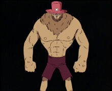 Tony Tony Chopper/Habilidades y poderes, One Piece Wiki