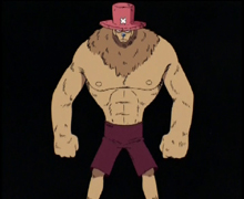 Tony Tony Chopper, One Piece Wiki