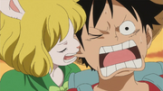 Carrot Gnaws On Luffy's Ear