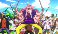 Takotopus Pirates