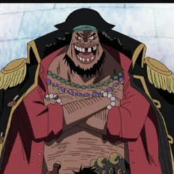 カテゴリ 黒ひげ海賊団 One Piece Wiki Fandom カテゴリ 黒ひげ海賊団 One Piece Wiki Fandom