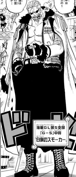 Manga post-timeskip