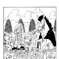 Chapter 801 One Piece Wiki Fandom
