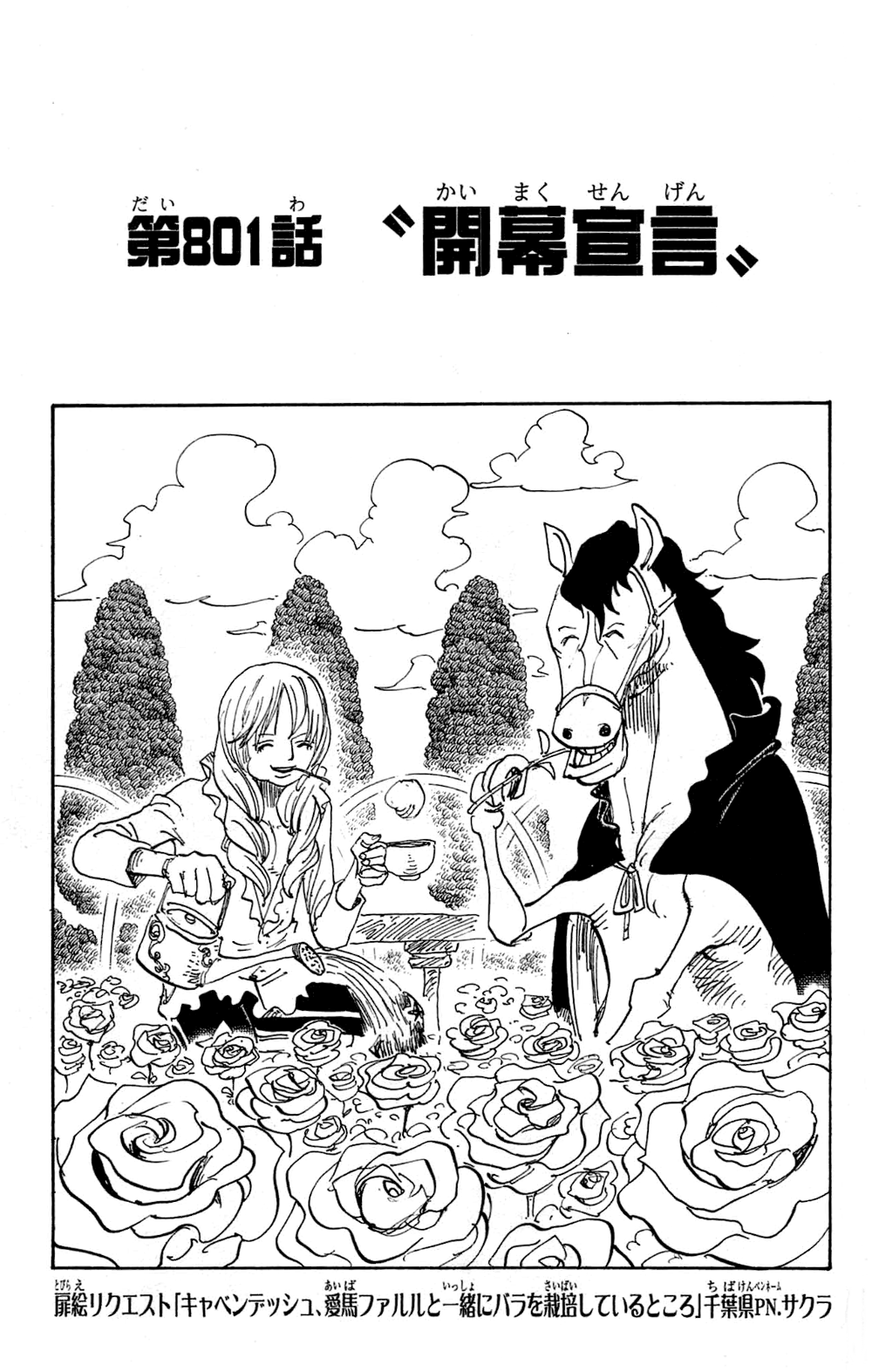 Chapter 801 One Piece Wiki Fandom