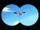 Especies de animales/Saga del East Blue