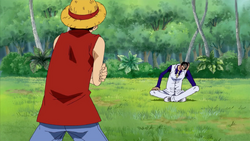 Luffy and Aokiji