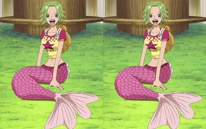 A comparison between .png (left) and .jpg (right).