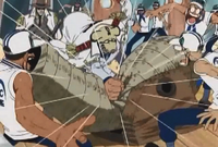 Garp canon