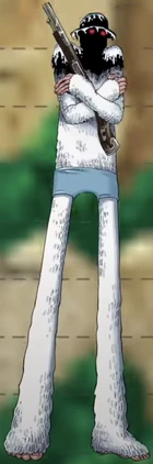 Yeti Cool Brothers One Piece Wiki Fandom