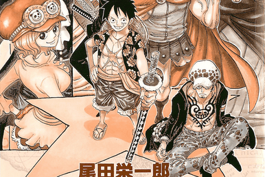 Volume 29 | One Piece Wiki | Fandom