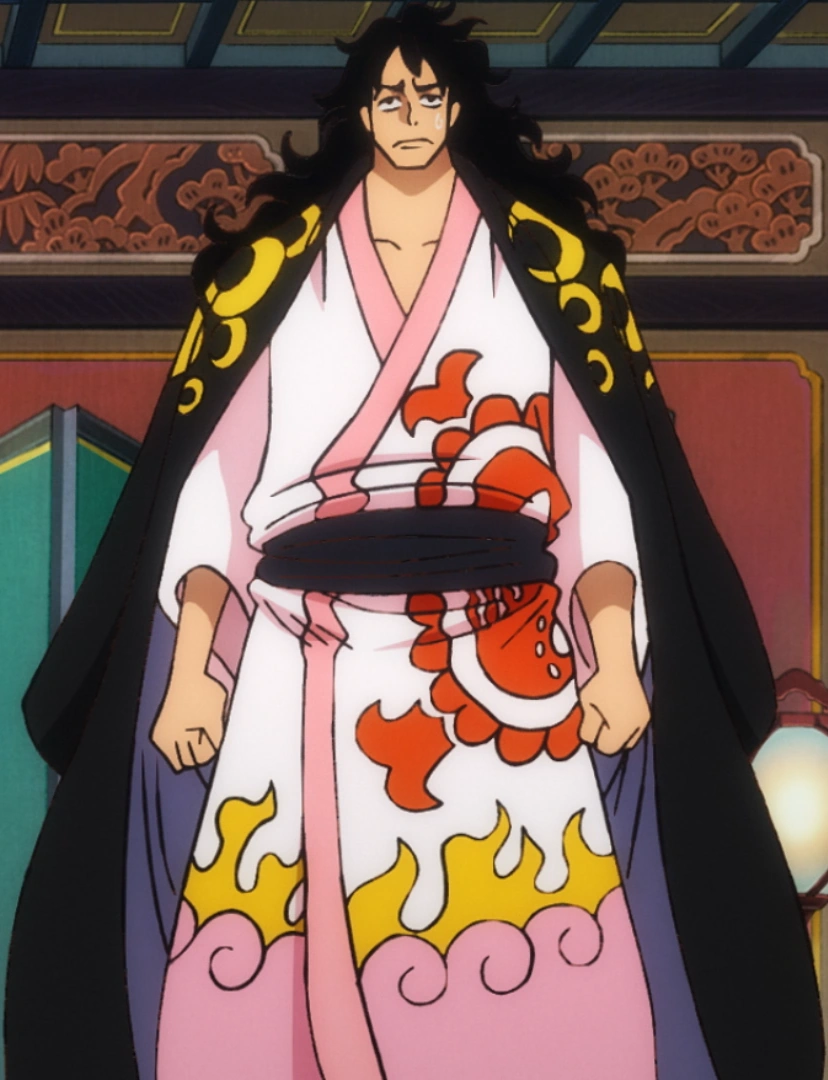 CategoryArtificial Devil Fruit Users One Piece Wiki Fandom