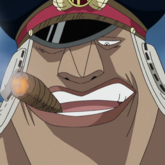 Paramecia One Piece Wiki Fandom