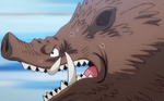 Wano Boar