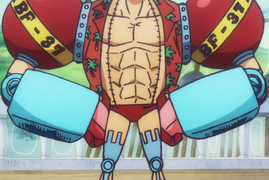 Franky/History/Non-Canon | One Piece Wiki | Fandom